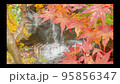 Video of beautifully colored maple and waterfall 95856347
