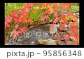 A video showing beautifully colored maples and the flow of a river 95856348