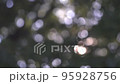 Sunlight through the leaves Beautiful ball bokeh Blur video 4K 95928756