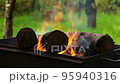 Burning firewood. Barbecue logs. Fire in the fireplace 95940316