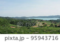 Panning view of Viverone Lake in Italy 95943716