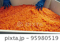 Employee of plant for production of red salmon caviar produces quality control 95980519