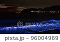 Zushi coast at dusk, blue waves and Mt.Fuji, view of Enoshima 96004969