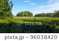 A field on a windy summer day 96038420