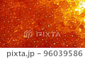 Employee of plant for production of red salmon caviar produces quality control 96039586