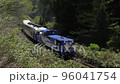 奧出雲大蛇 No. Aburaki-Mitsui Nohara 2022 年 5 月 96041754