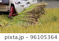 Rice harvesting (harvesting work by combine) 96105364