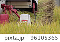 Rice harvesting (harvesting work by combine) 96105365