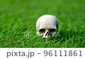 Scull on grass explodes and shatters into small pieces from impact of club 96111861