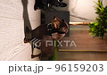 28 Dachshund on the floor looking in different directions 96159203