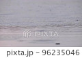 Drops of rainwater fall on the surface of the water in spring Rain as a source of fresh water 96235046