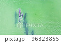 A Dolphin Family is Swimming and Jumping from the Emerald Water of Florida Coast near Siesta Key a Top Drone Shot 96323855