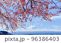 Cherry blossoms in full bloom and Mount Fuji with a snow crown 96386403