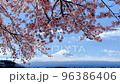 Snow-capped Mt. Fuji seen from among cherry blossoms in full bloom 96386406