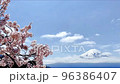 Video showing Mt. Fuji next to cherry blossoms in full bloom 96386407