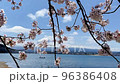 Mt.Fuji and Lake Kawaguchi seen through the branches of cherry blossoms 96386408