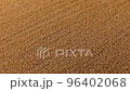 Aerial view of wheat field 96402068