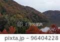 Autumn leaves 7 96404228
