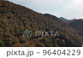 Autumn leaves 6 96404229
