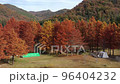 Autumn leaves 3 96404232