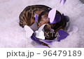 The cat plays with paper hearts. A beautiful animal on a white fluffy blanket plays with purple and white hearts. Congratulations on Valentine's Day. 96479189