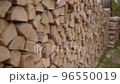 Firewood is neatly stacked along fence with dry chopped logs they will heat stoves for cooking and heating houses. Traditional renewable and alternative to gas and coal natural fuel 96550019
