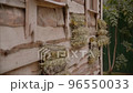 Outer wall of wooden house built according to old technologies. Building is decorated with dry medicinal herbs. 96550033