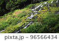 Kujurono Spring Waterfall 96566434