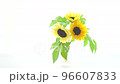 Sunflowers in a vase 96607833