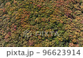 【空撮】秋の森 真俯瞰 右回転 【空撮】秋の森 真俯瞰 右回転 96623914