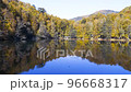 Drone flies over forest lake and mountain 96668317