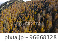 Drone flies over forest and mountain during november autumn season 96668328