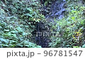 山の中の湧き水 96781547