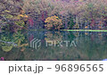 [長野縣] Mishaka Pond 紅葉 96896565