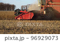 Close-up of Harvesting machine working in the field. Combine harvester agricultural machine ride in the field of goldens soybean. 96929073