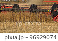 Close-up of Harvesting machine working in the field. Combine harvester agricultural machine ride in the field of goldens soybean. 96929074