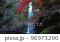 箕面瀑布 秋葉 秋天的傍晚 96973200