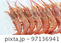 氷背景のアルゼンチン天然赤海老　スライダー 97136941