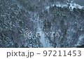 Flight over the autumn mountains with road serpentine and pine forest. Top down view. Landscape photography. Driving in winter. Natural winter landscape from air. Forest under snow a the winter time. 97211453