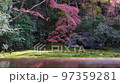 12月の瑠璃光院　瑠璃の庭　垂れカエデの紅葉 97359281