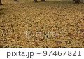 イチョウの紅葉　北海道札幌市中央区中島公園 97467821