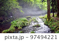 fantastic clear stream 97494221