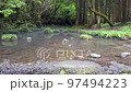 fantastic clear stream 97494223