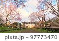 岩手縣奧州市水澤公園的櫻花 97773470