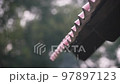 Rain Hitting House Roof Rain Drops Falling Slow Rain speedy Rain Sky Drops Slow motion Drizzle 97897123