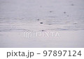Large drops in summer close-up fall on the surface of the water, making many smooth circles. Around 97897124