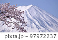 Mt. Fuji and Sakura Kawaguchiko 97972237