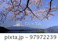 Mt. Fuji and Sakura Kawaguchiko 97972239