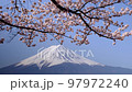 Mt. Fuji and Sakura Kawaguchiko 97972240