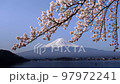Mt. Fuji and Sakura Kawaguchiko 97972241
